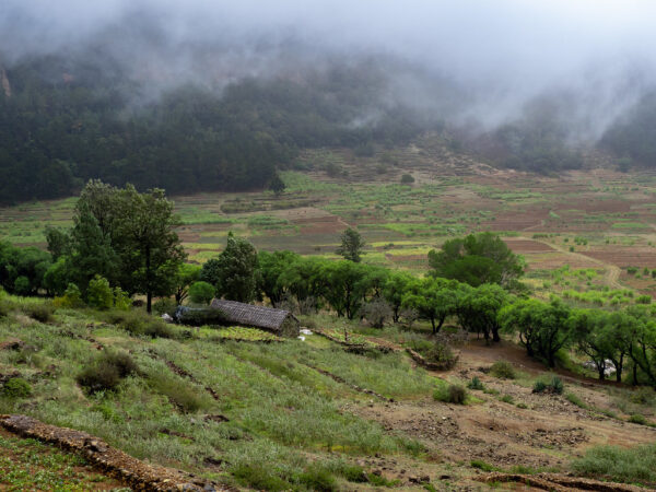 Cabo Verde Morabeza - Image 4